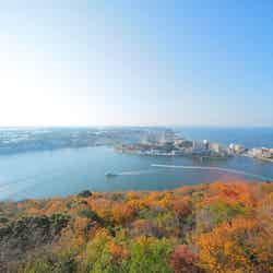 浜松観光おすすめスポット10選 レジャー、グルメ、歴史まで魅力たっぷり!/大草山(紅葉)/写真提供:浜松観光コンベンションビューロー