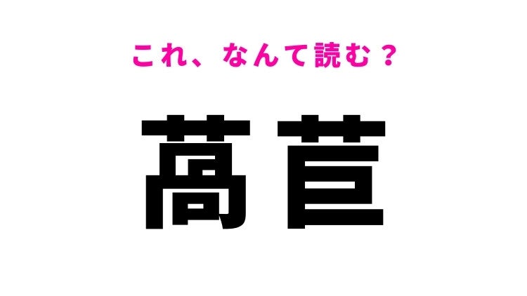 【漢字クイズ】「萵苣」はなんて読む？ある野菜を表す難読漢字！