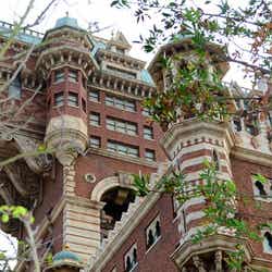 タワー・オブ・テラー