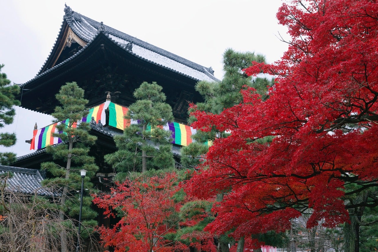 山門紅葉／写真　水野克比古
