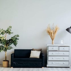 居心地がいい、綺麗な部屋にするための方法。おしゃれに見せるコツも一緒にご紹介