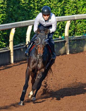 【オークス】アランカール 母子制覇へ異例の火曜最終追い 斉藤崇師も納得「いい動き」春3戦目＆関東輸送で慎重調整
