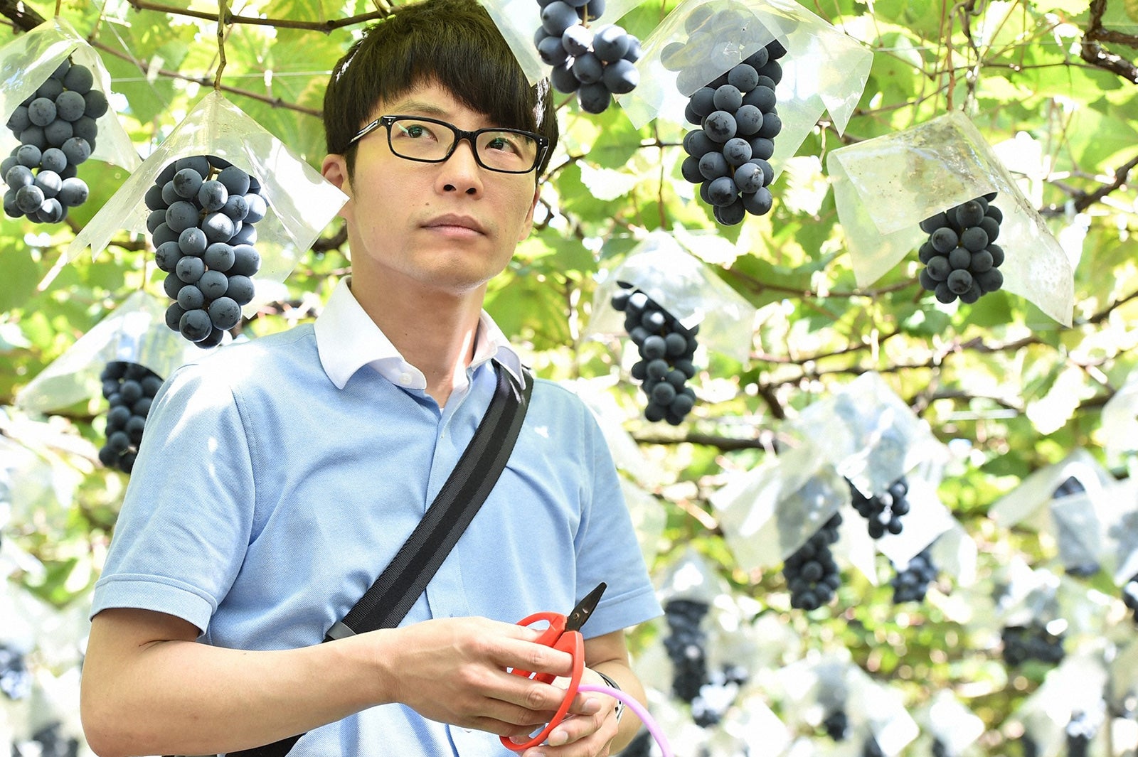 星野源「逃げるは恥だが役に立つ」第3話・場面カット（C）TBS