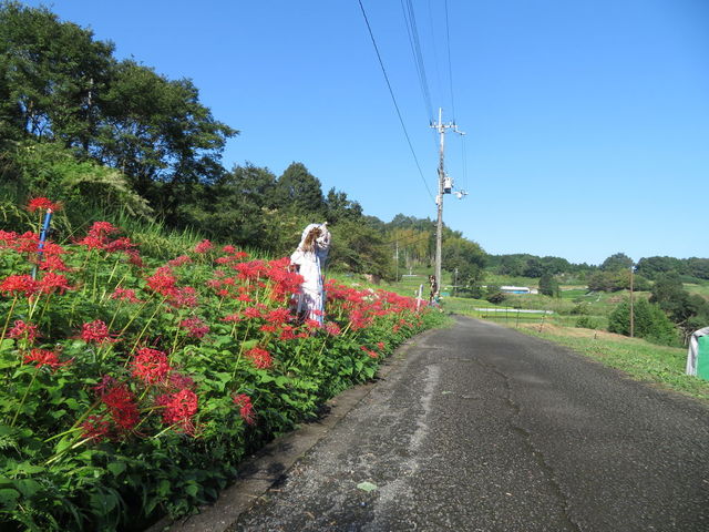 明日香村稲渕