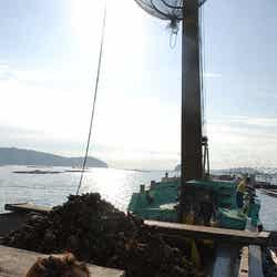 牡蠣の水揚げを体験するLie