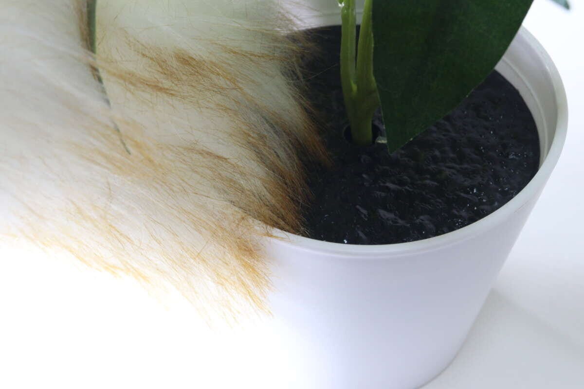 ダイソー　グリーンポット（1）　　インテリア　土　お手入れ