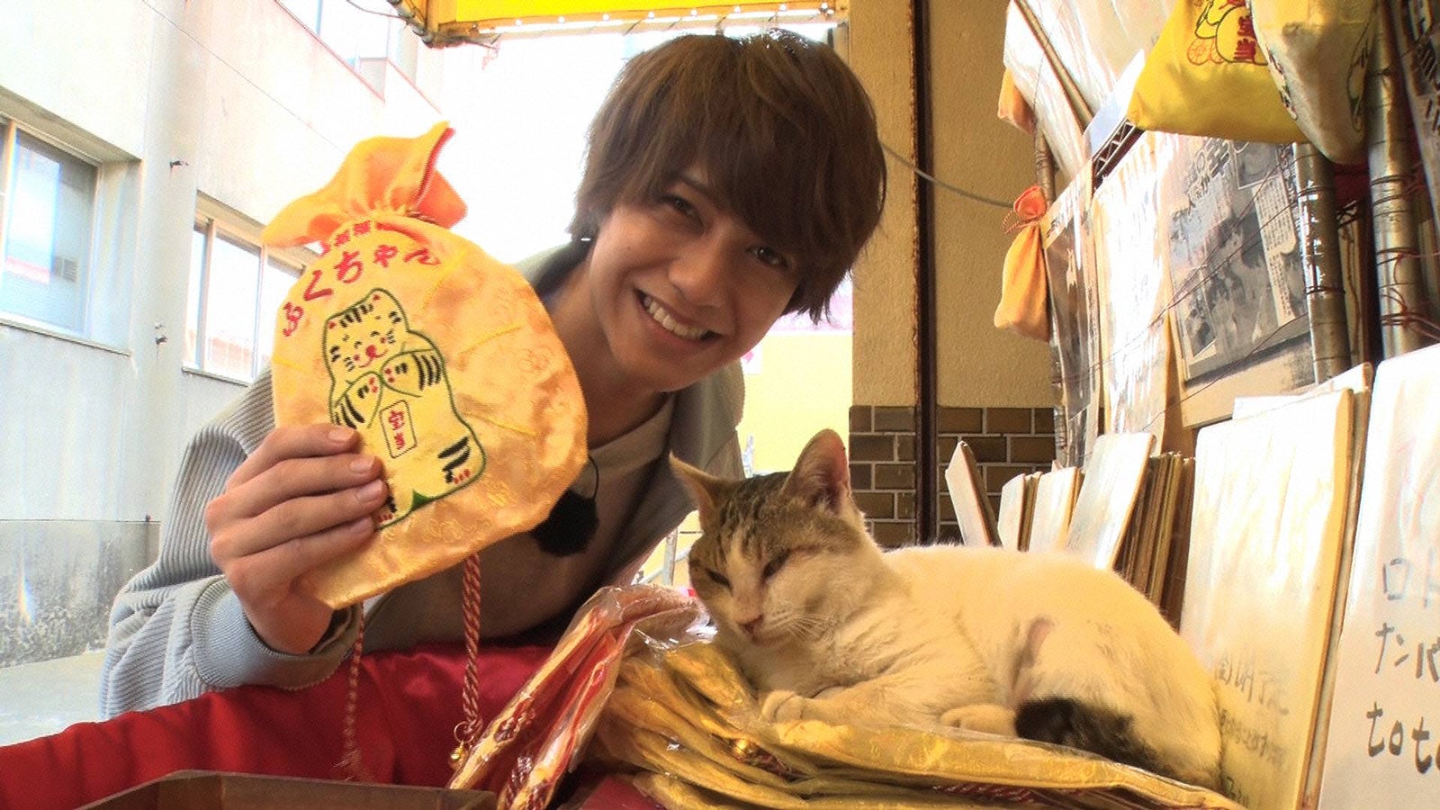 King ＆ Prince高橋海人、“33億円稼ぐ猫”と対面「スゴイ」