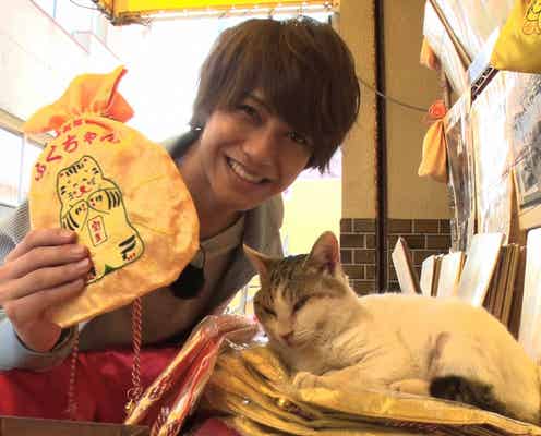 King & Prince高橋海人、“33億円稼ぐ猫”と対面「スゴイ」