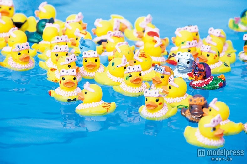 アヒルちゃんレース※昨年までの様子／画像提供：よみうりランド