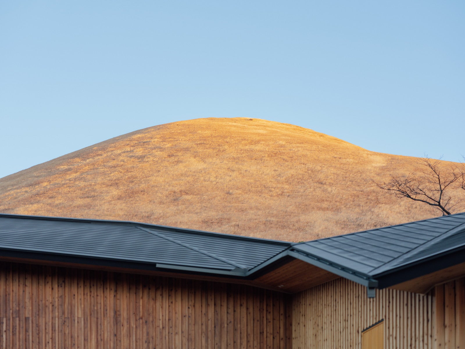 ベッカ イズ／提供画像