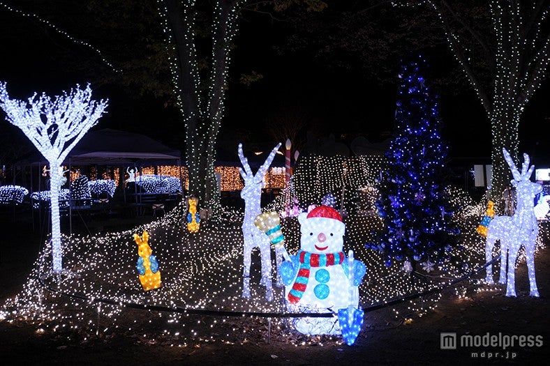 クリスマスらしい雪だるまやトナカイ※過去写真