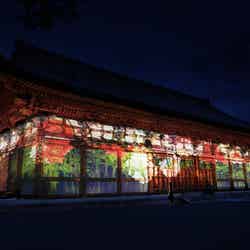 講堂に咲く増殖する無量の生命/画像提供:チームラボ