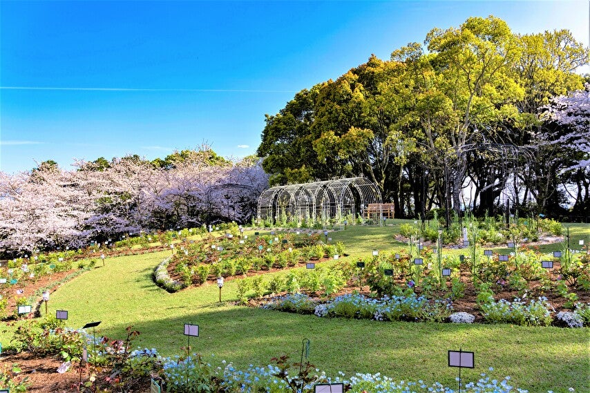 大江戸温泉物語 西海橋コラソンホテル／画像提供：大江戸温泉物語ホテルズ＆リゾーツ