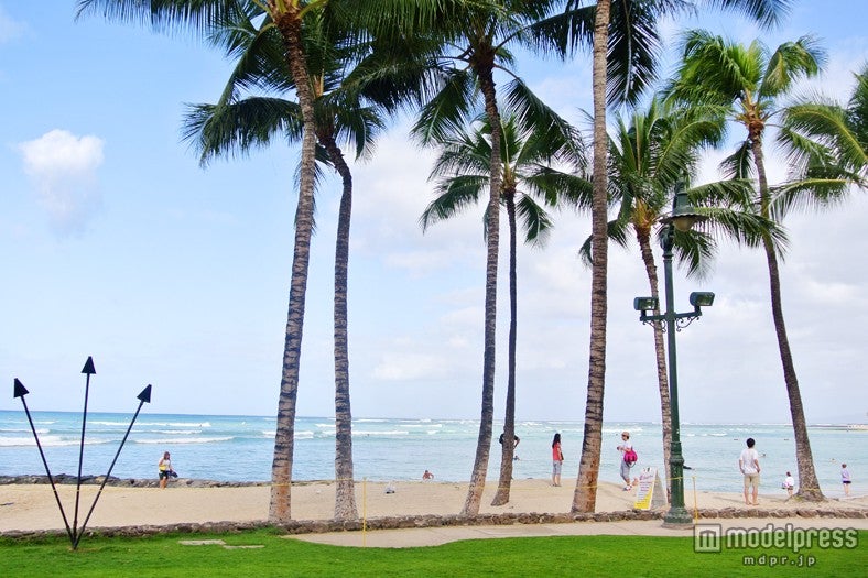 きゃりーがハワイの夏を彩る