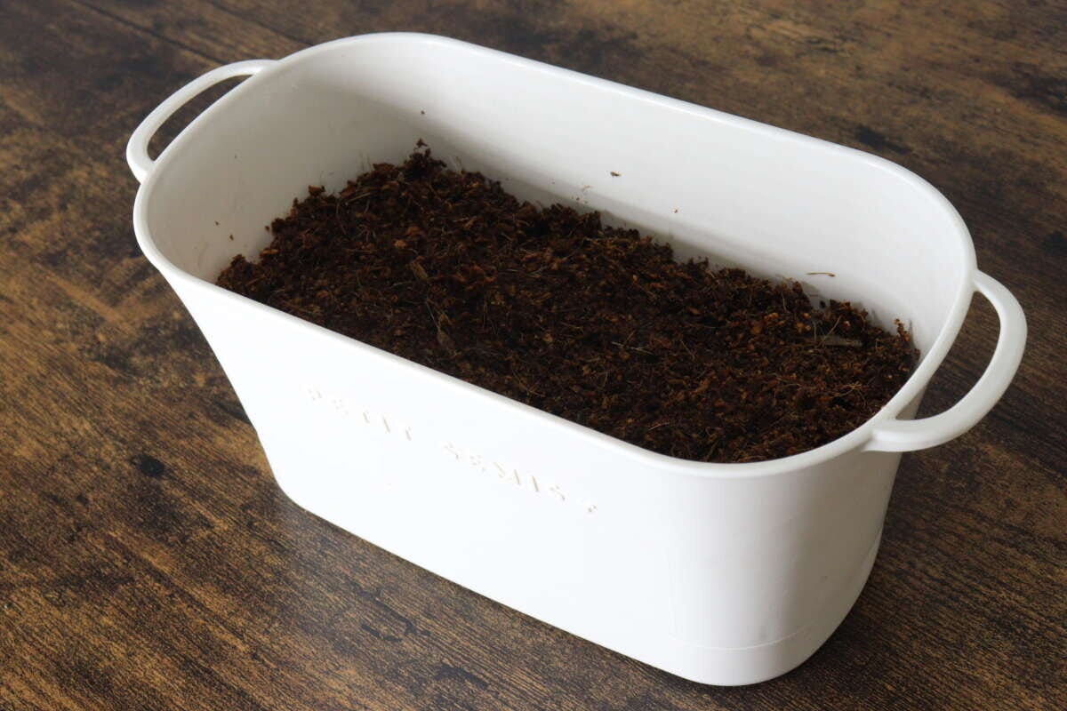 ダイソー バスケットプランター アイボリー ダイソーのバスケットプランター アイボリーの使用例