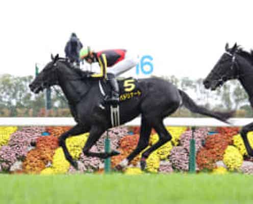 【萩S】バドリナート 好位伸びて連勝 坂井は年間100勝を達成「いいリズムで言うことがない内容」
