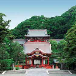 鶴岡八幡宮/提供画像