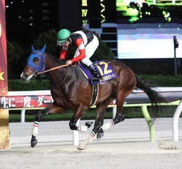 3歳ダート2冠馬フィンガーが米国遠征へ 田中博師「結果を踏まえ、BCクラシックに向かうか考えたい」