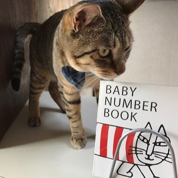 Cat’s Meow Books／画像提供：Cat’s Meow Books