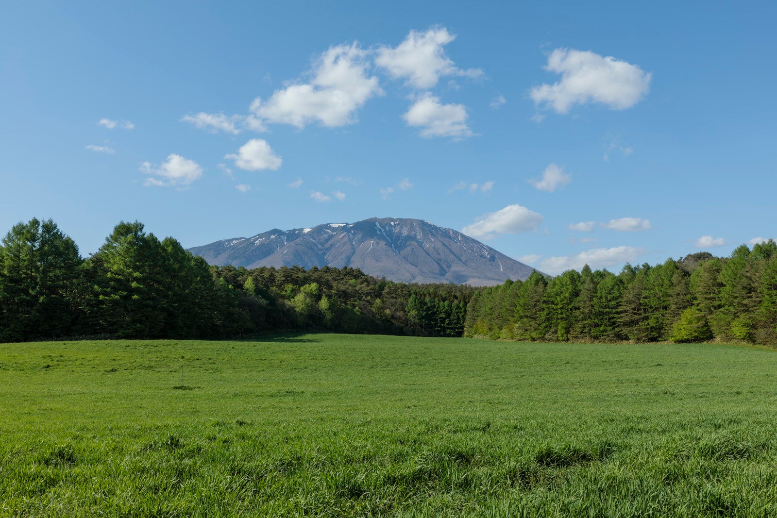 岩手山を望む計画地（小岩井農場）提供：JR東日本（小岩井農場にて撮影）