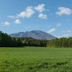 岩手山を望む計画地(小岩井農場)提供:JR東日本(小岩井農場にて撮影)