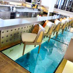 MOTU(C)モデルプレス