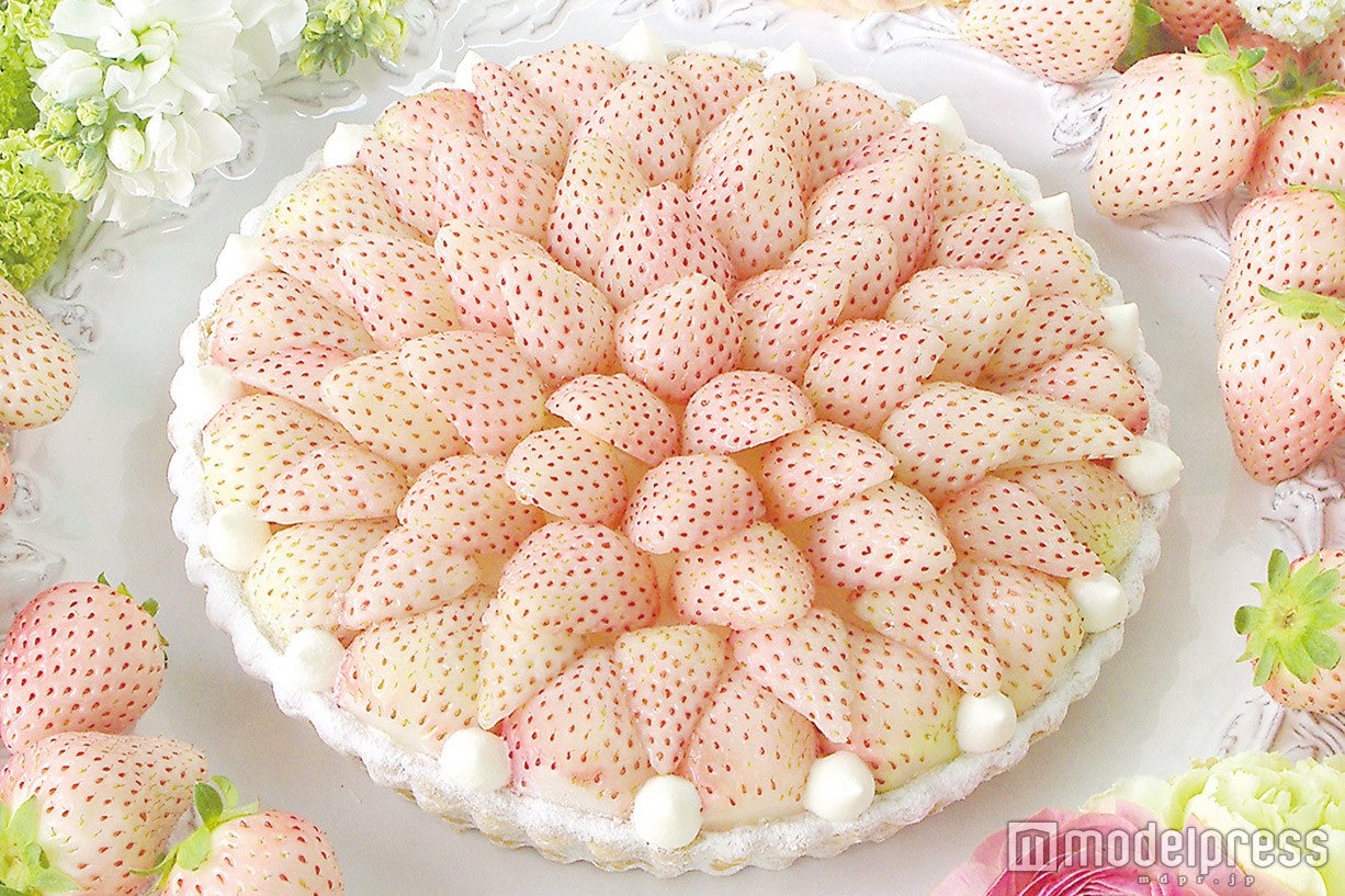 「特選 白イチゴ～初恋の香り～のタルト」piece：1630円／whole（21cm）：12,420円