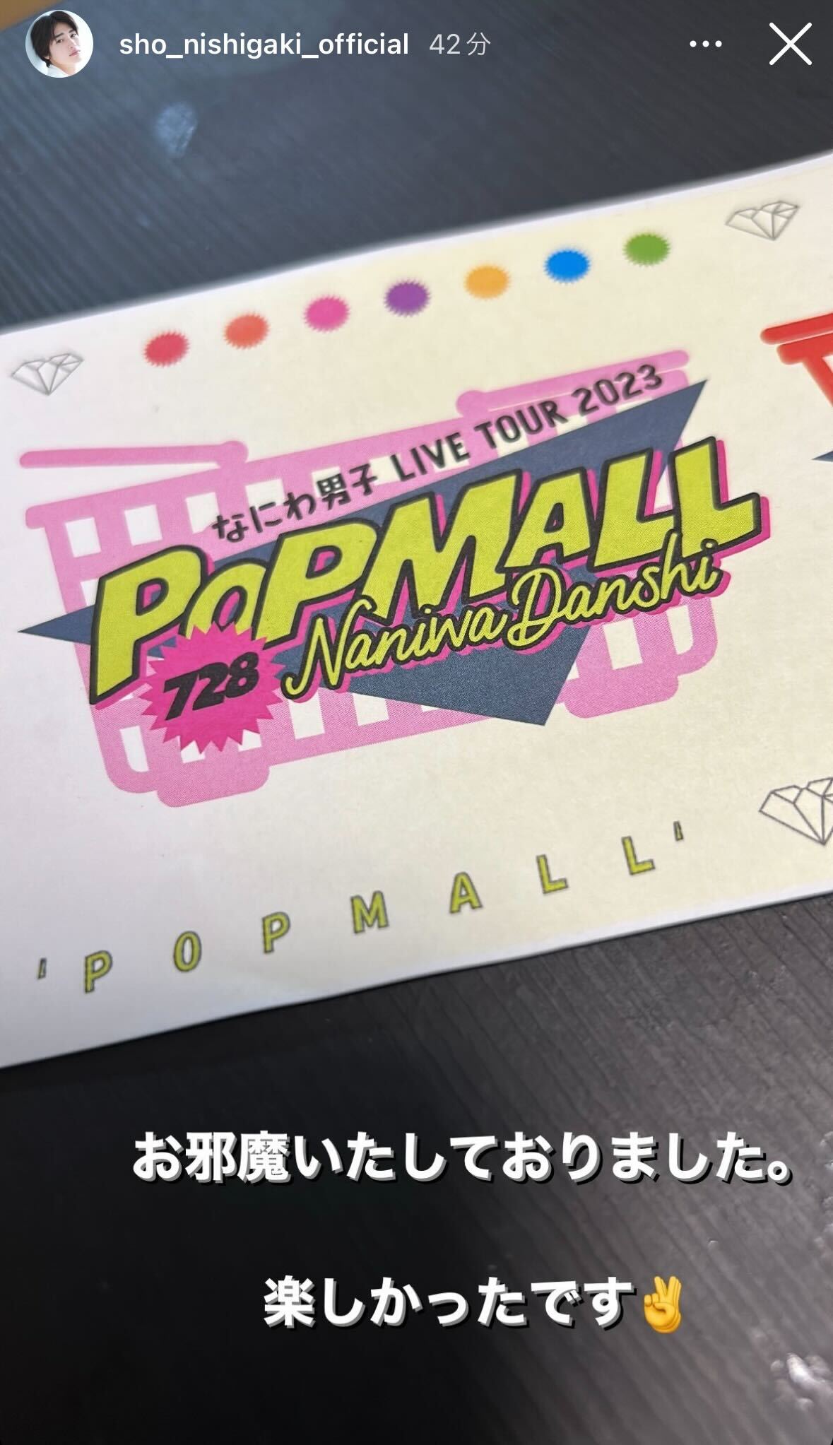 西垣匠公式Instagramのストーリーズより