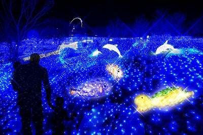 体験型イルミネーション／画像提供：富士急行株式会社