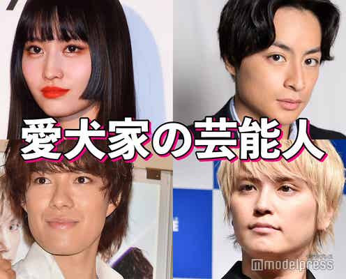 GENERATIONS白濱亜嵐・手越祐也・SixTONES京本大我…愛犬家の芸能人といえば?【読者アンケート結果】