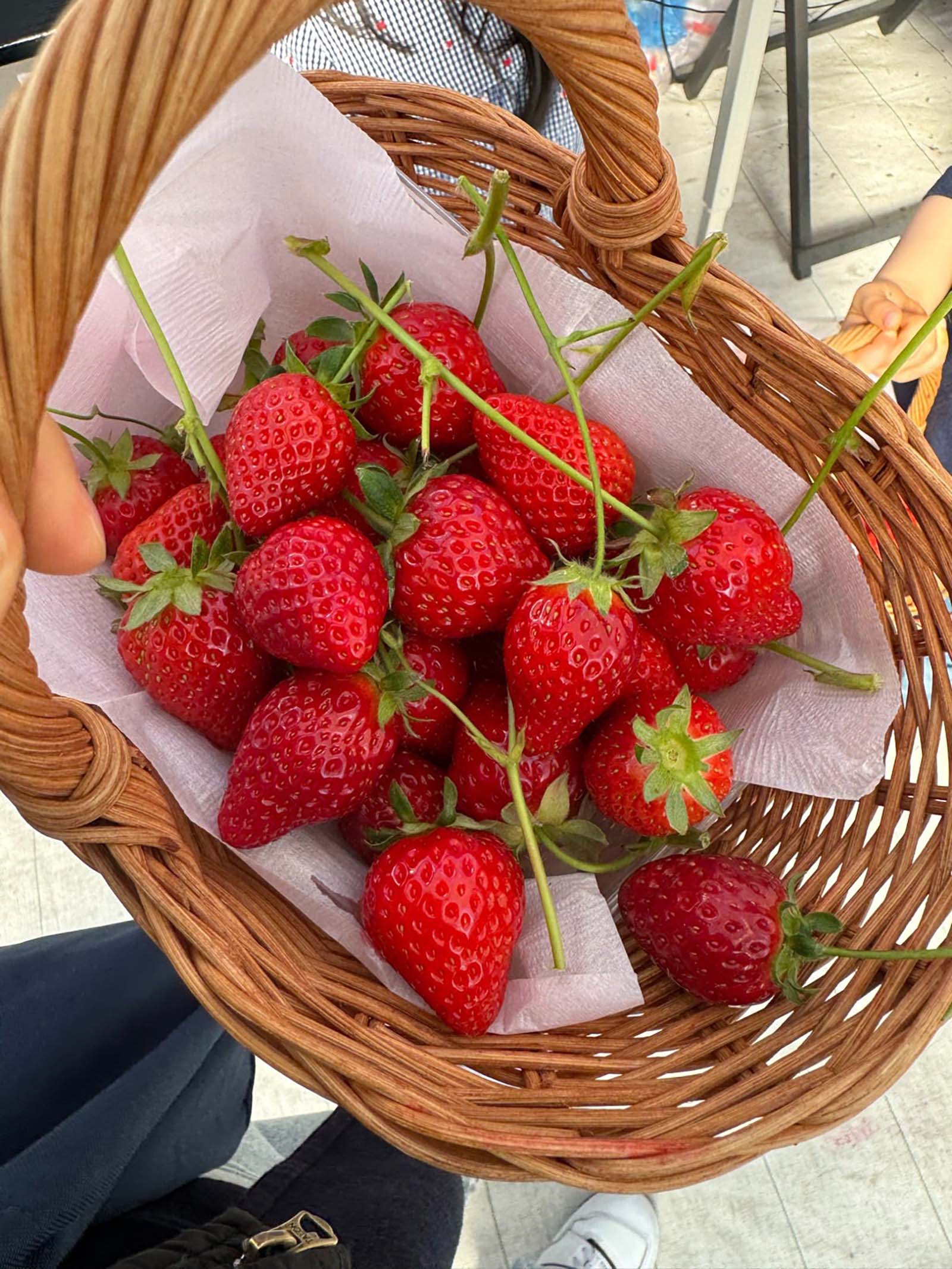 小倉優子オフィシャルブログより