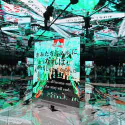 null2(C)モデルプレス