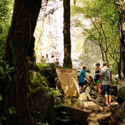 ハワイの大自然でリフレッシュ、アクティブ女子おすすめの癒やしスポットへ