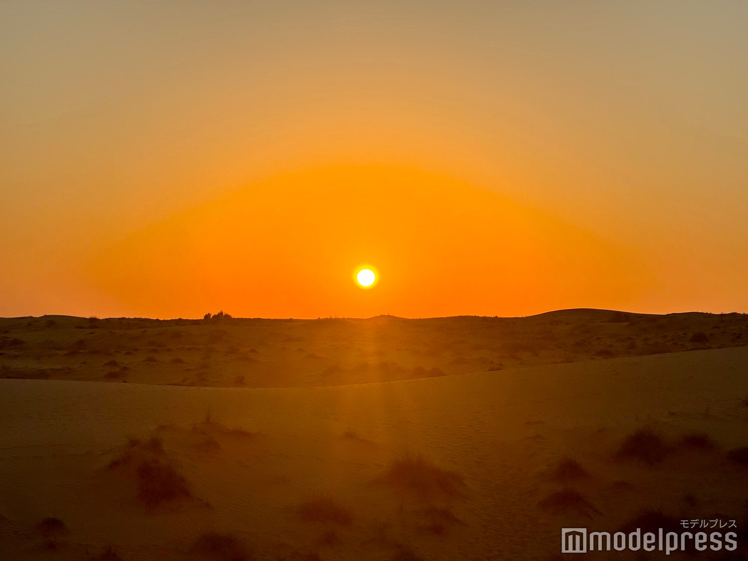 砂漠ツアー（C）モデルプレス