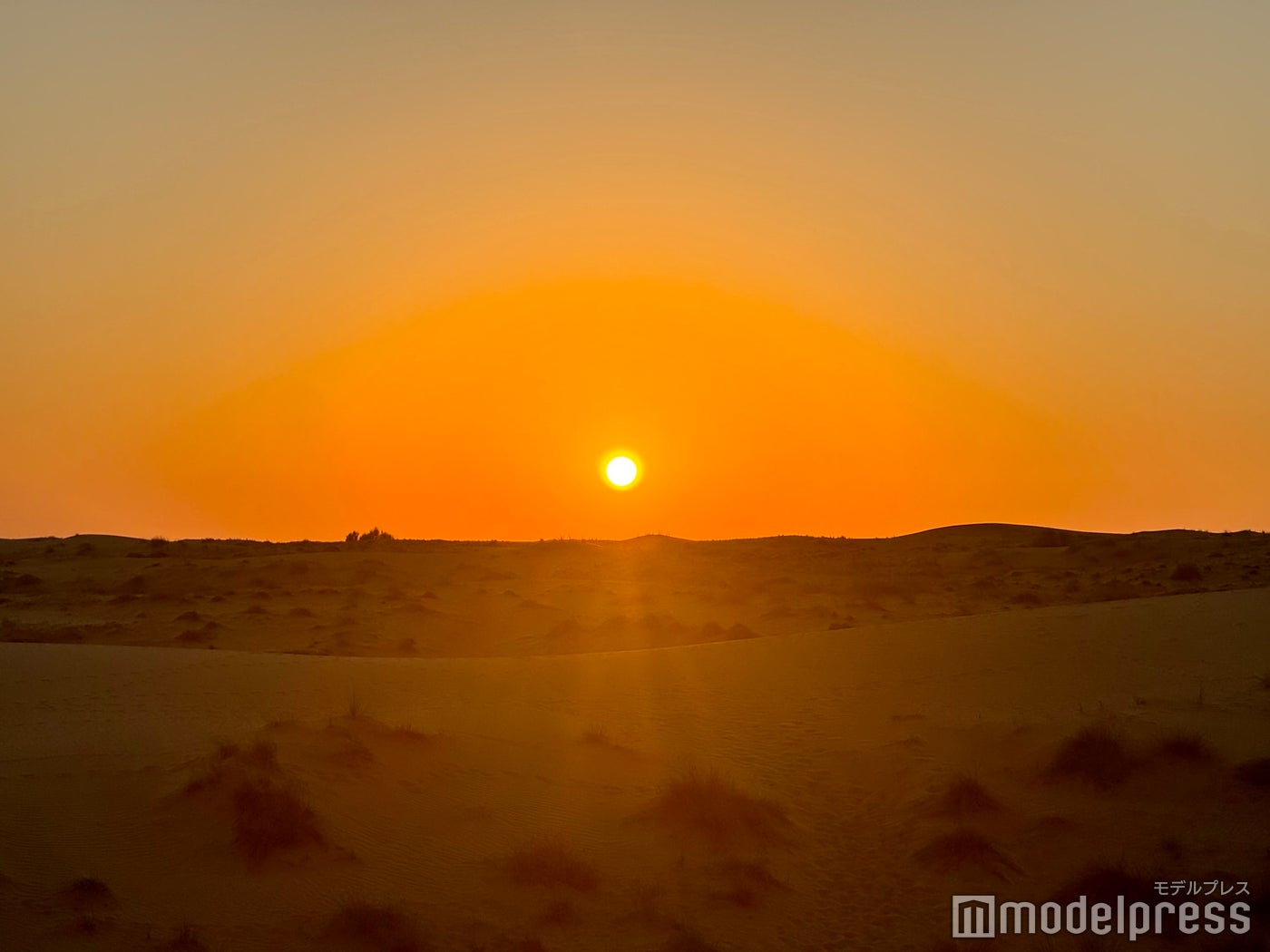 砂漠ツアー(C)モデルプレス