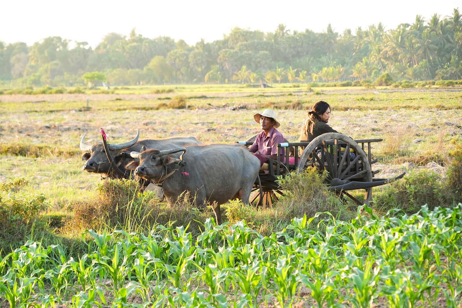 間宮祥太朗「ACMA：GAME アクマゲーム」第1話より（C）日本テレビ