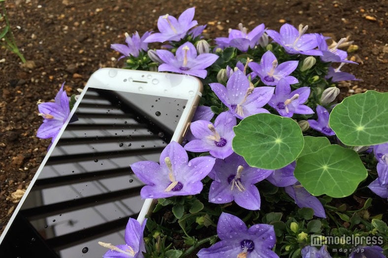 iPhone水没時の心得