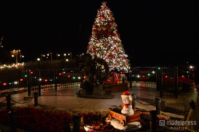 アメリカンウォーターフロントのケープコッドのツリー(夜)