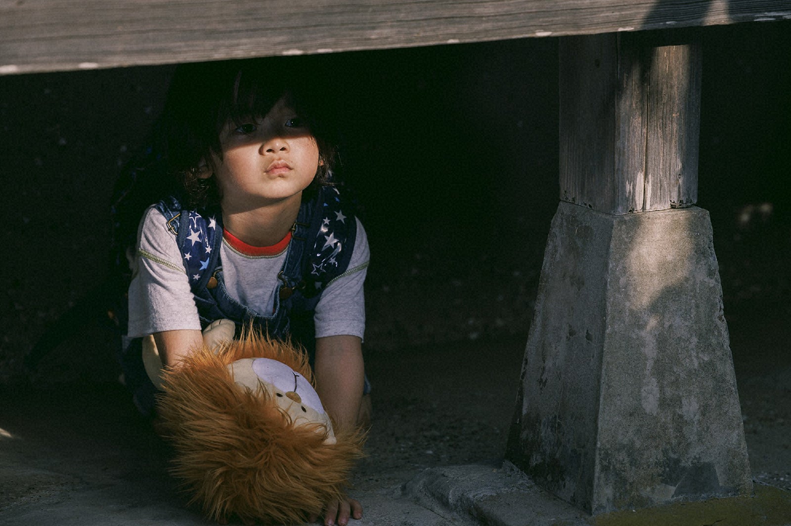 佐藤大空「ライオンの隠れ家」第1話（C）TBS