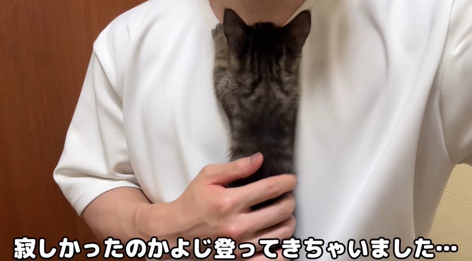 【もちまる】保護した子猫のおはぎが手術！？術後の甘える姿がかわいい噂に