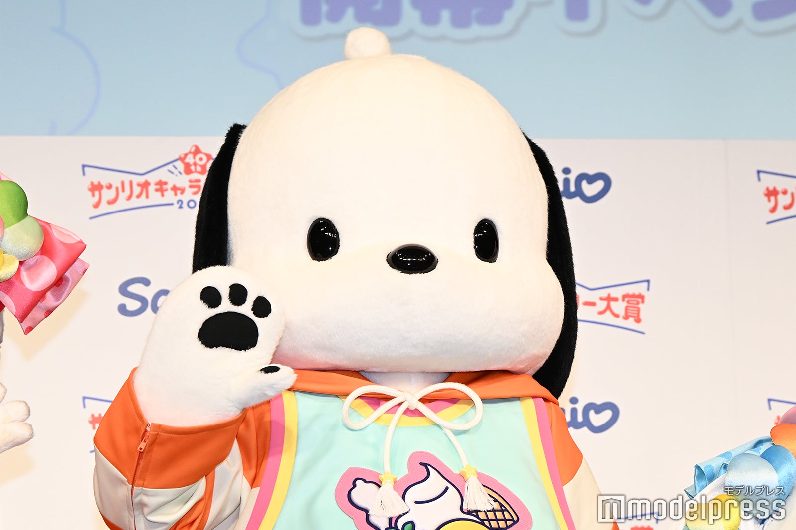 ポチャッコ（C）モデルプレス