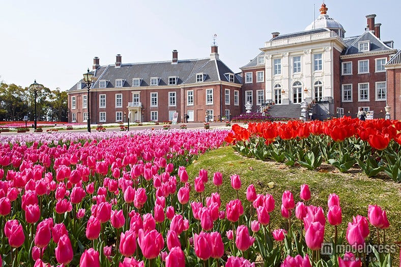 春デートにぴったりな国内の花畑6選