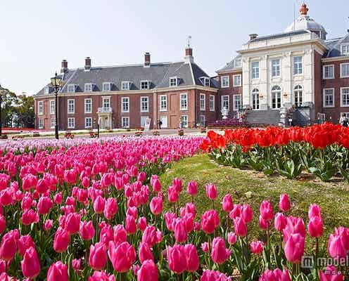 春デートにぴったりな国内の花畑6選