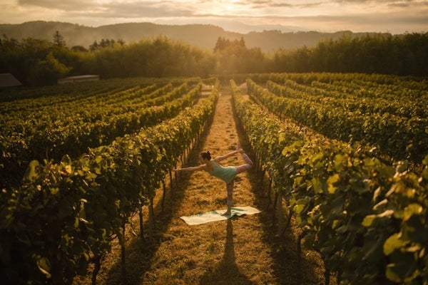 シャルドネステイ／画像提供：星野リゾート