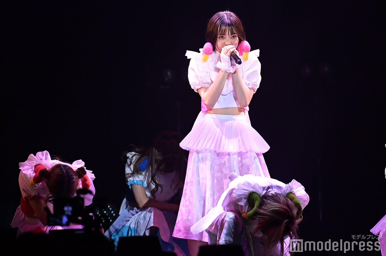 豆柴の大群（C）モデルプレス