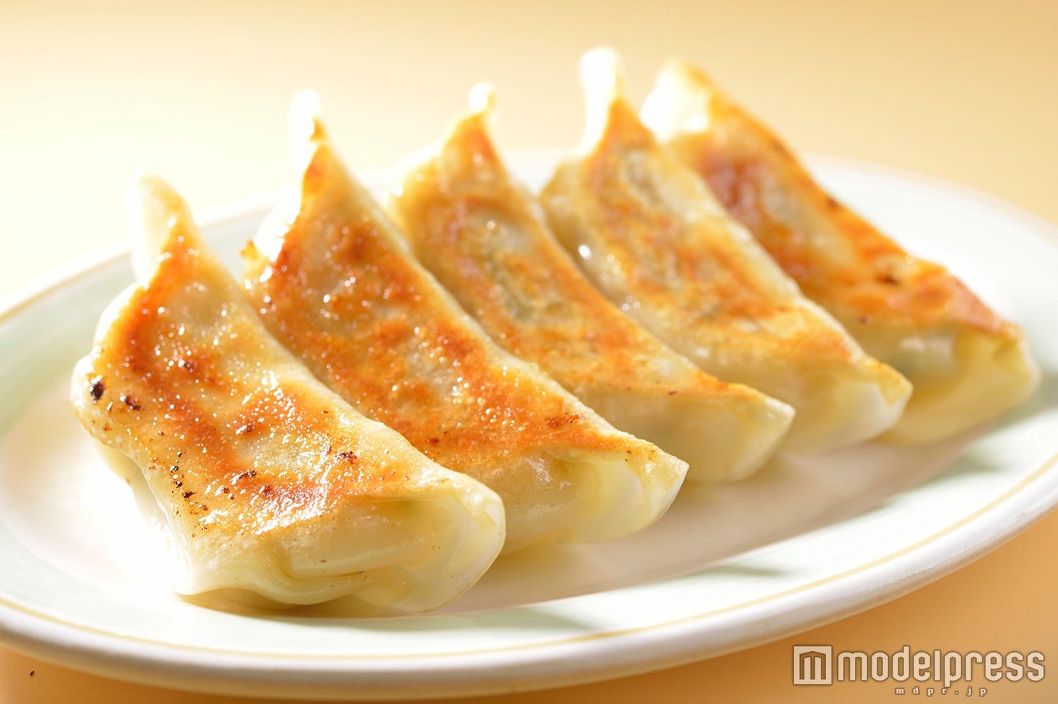 「宇都宮餃子祭り」東京で初開催 人気10店舗の焼きたて餃子を食べまくり