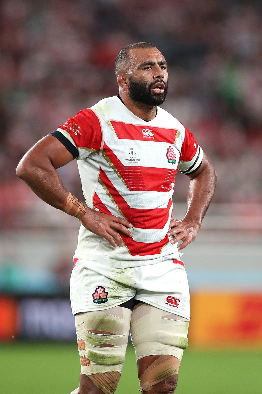 ラグビー日本代表（Photo by Getty Images）