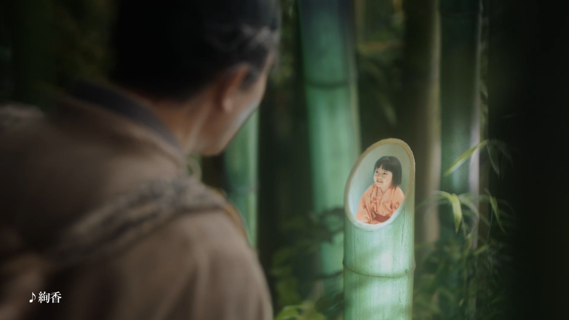 「帰ってきたかぐや姫」篇 （提供写真）