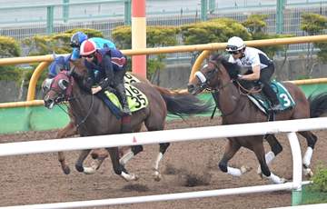 【函館2歳S】シグレ堂々最先着 デビュー戦で6馬身差ぶっちぎりV 武英師「上積みは大きそう」