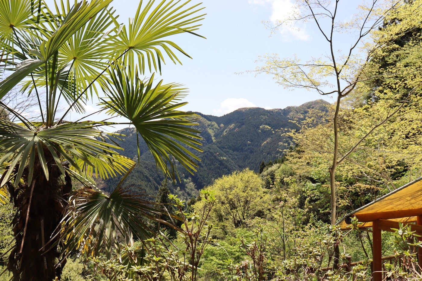 WOODLAND BOTHY／画像提供：グラーチャー